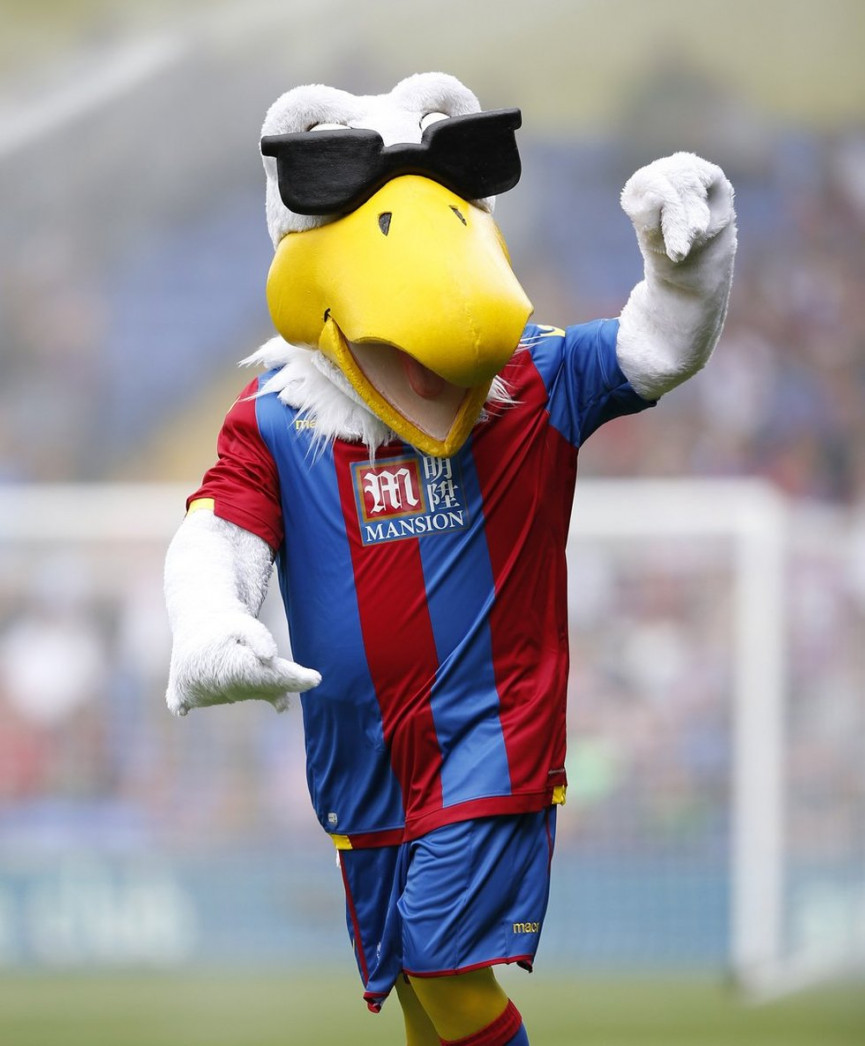 this-seasons-premier-league-mascots-ranked-16-1556679158-Mk4T-column-width-inline