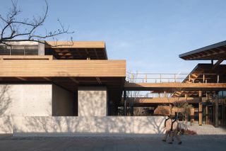 pulo market in china and its timber structure glory