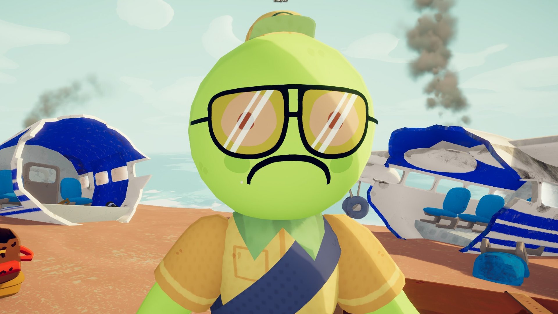 Sad face standing in front of a crashed plane