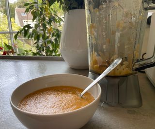 A bowl of soup made in the Nama C2 Blender and Juicer