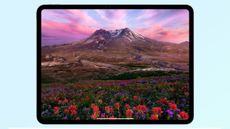 Apple iPad Pro 2024 new OLED screen displaying a mountain in front of a colorful meadow.