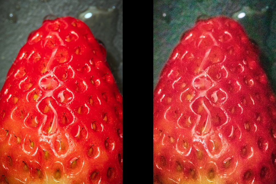 Canon School: Control color with your Canon camera | Digital Camera World