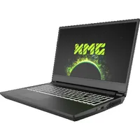 XMG APEX 15 notebook - €1,958 from Bestware
(roughly $2,130/£1,700/AU$3,300)