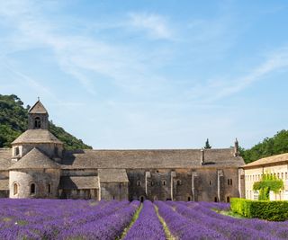 Lavender fields with historic building behind