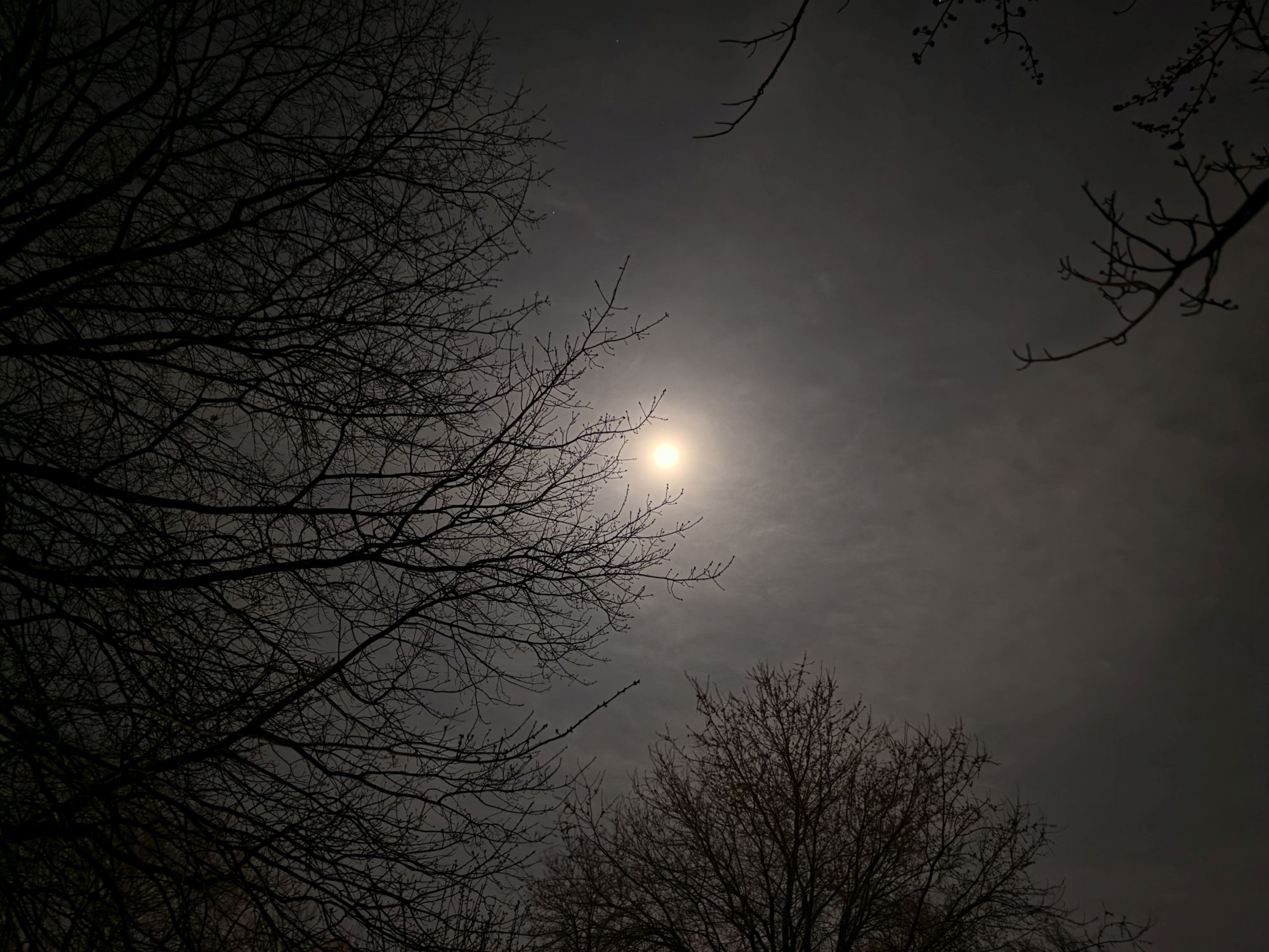 Samsung Galaxy S26 Ultra Night Mode low light sample.