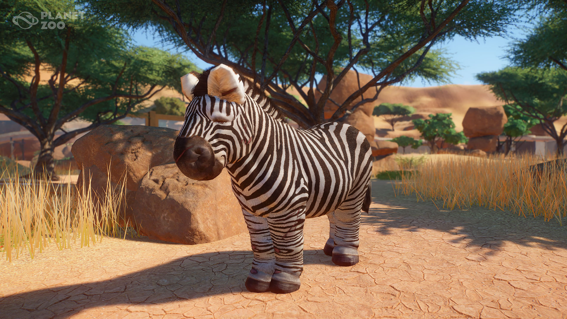 planet zoo safari ride animals