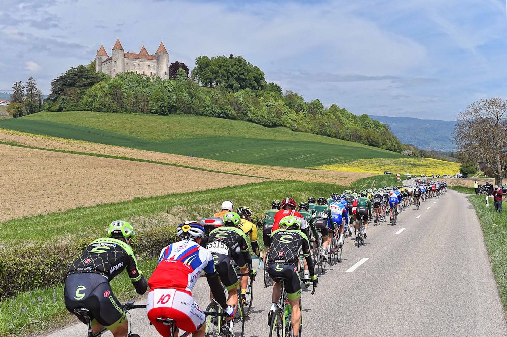 The pack rolls through the countryside.