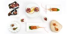 A series of white ceramic plates filled with different, colorful seafood creations stands atop a white backround.