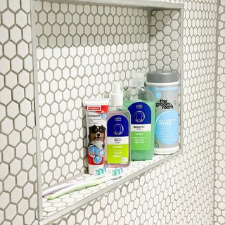 dog shower with hexagonal designed wall and shelf with toothbrush toothpaste and cleanser bottles