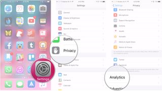 Launch Settings, tap Privacy, tap Analytics