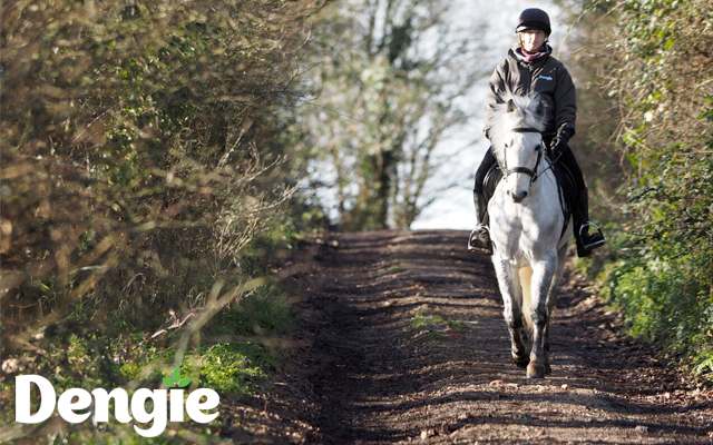 Dengie-feature-image