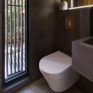 toilet with grey wall commode and window