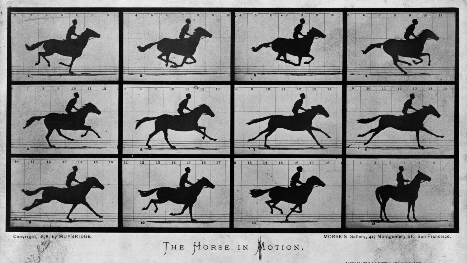 Muybridge's Ingenious Rig Revolutionized Photography and Cinema