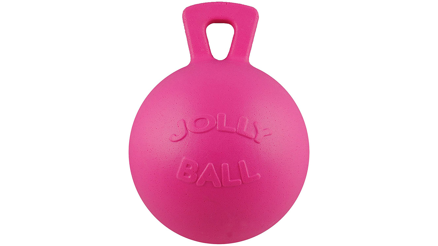 Horsemen&amp;rsquo;s Pride Jolly Ball