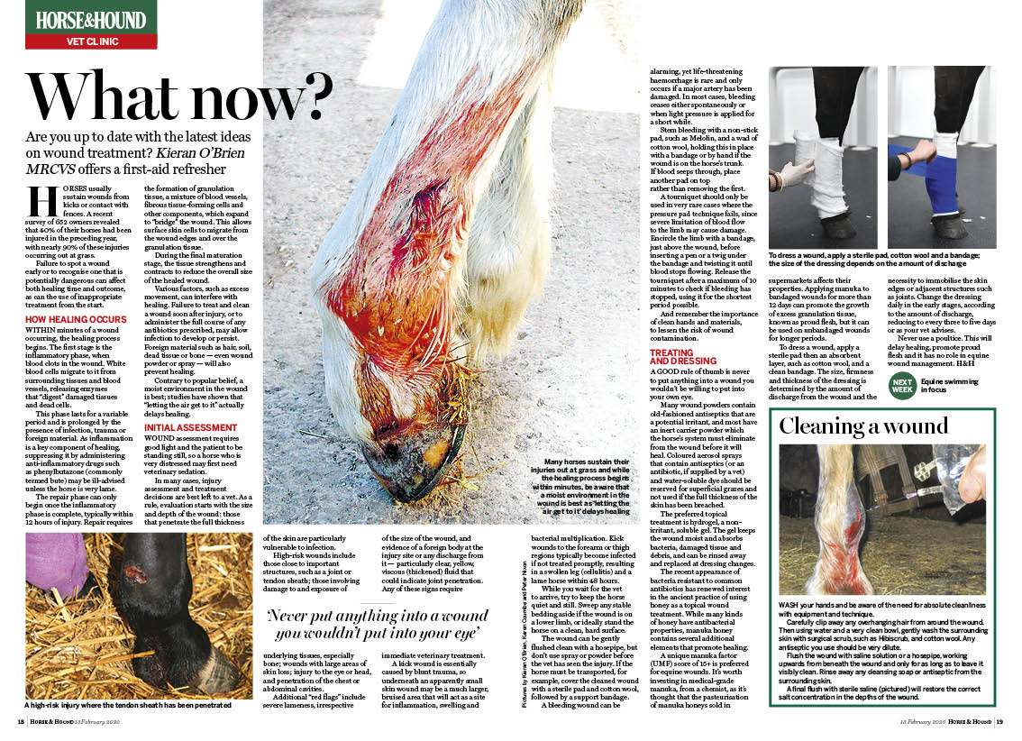 VET 2PP (13 2) Treating wounds