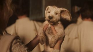 Baby Krypto in Supergirl