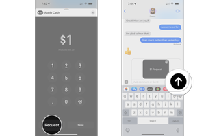 How to request money with Apple Cash in the Messages app on the iPhone by showing steps: Tap Request, Tap the Send Button