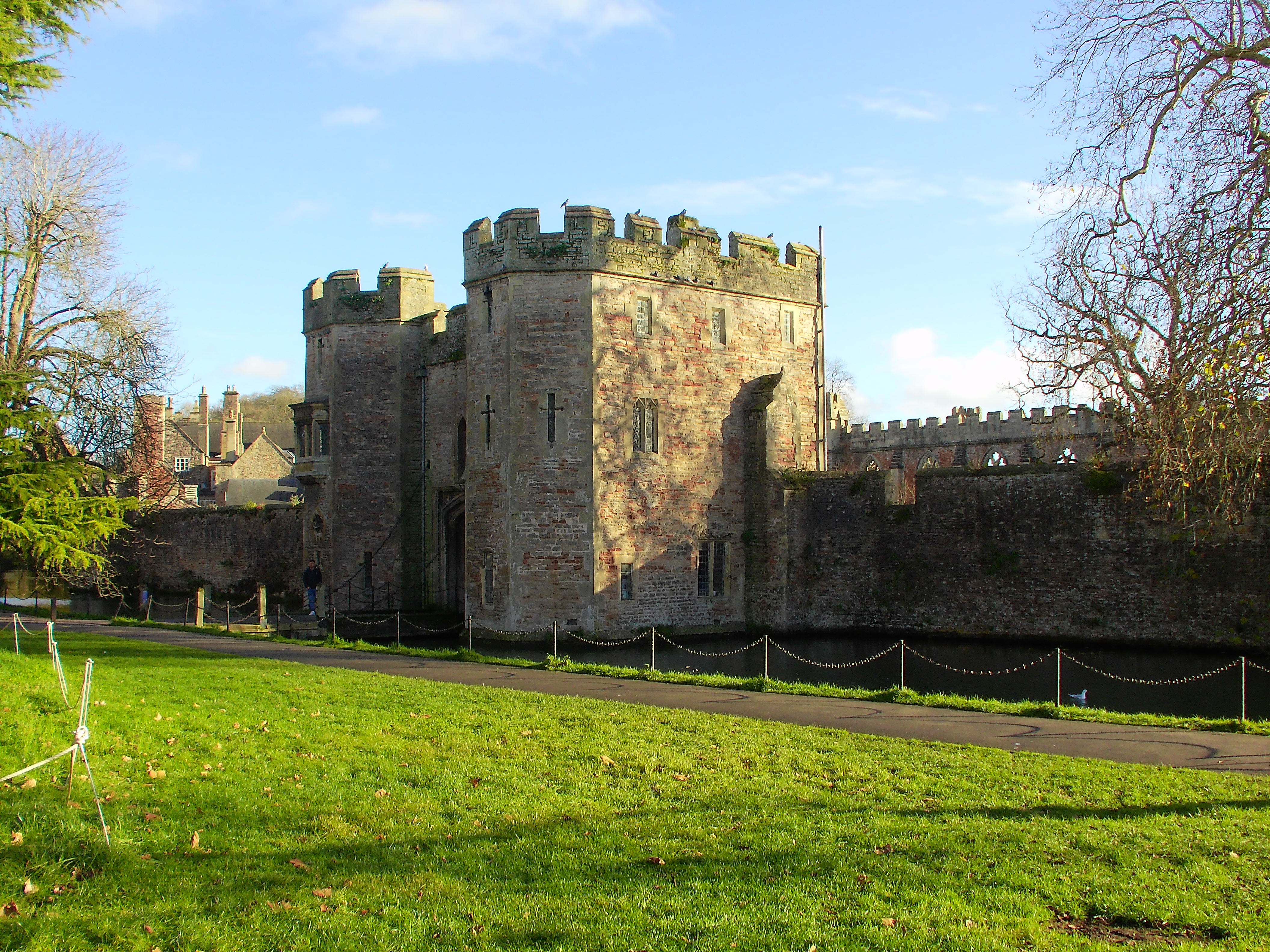 Yashica City 200 example shot