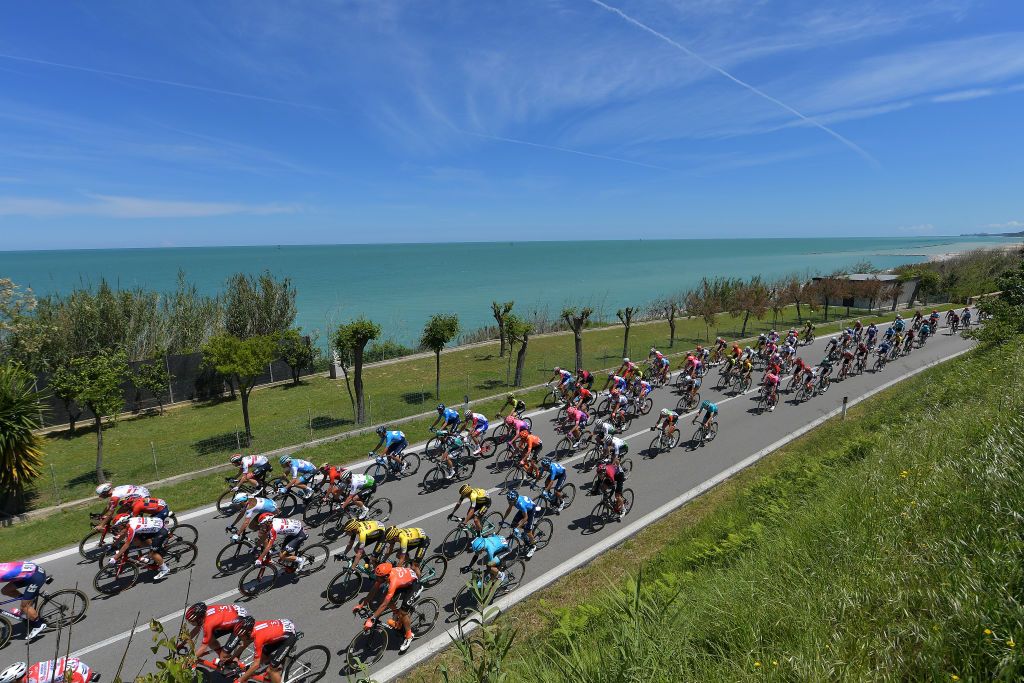 The peloton on stage 7