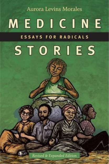 'Medicine Stories: Essays for Radicals' by Aurora Levins Morales