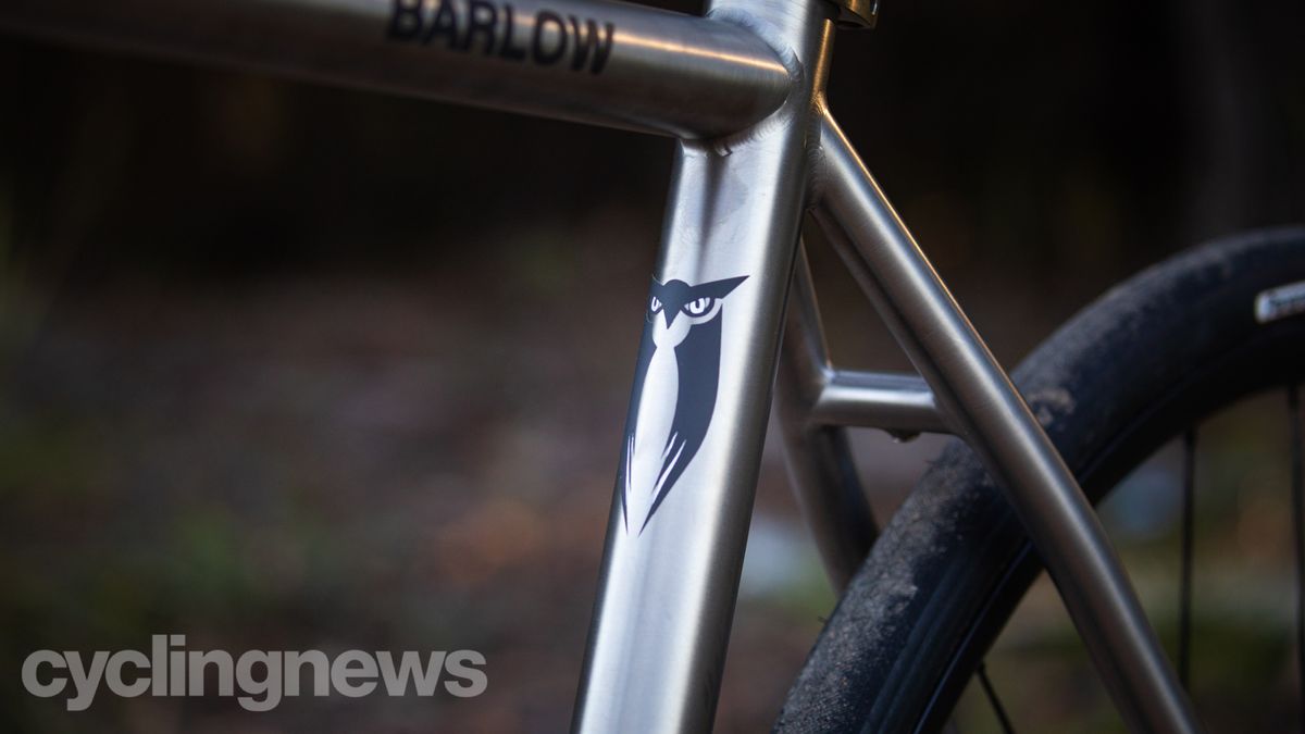 Sage Barlow Titanium gravel bike