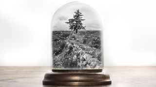 Use one of your own photos to make a seasonal snow globe 