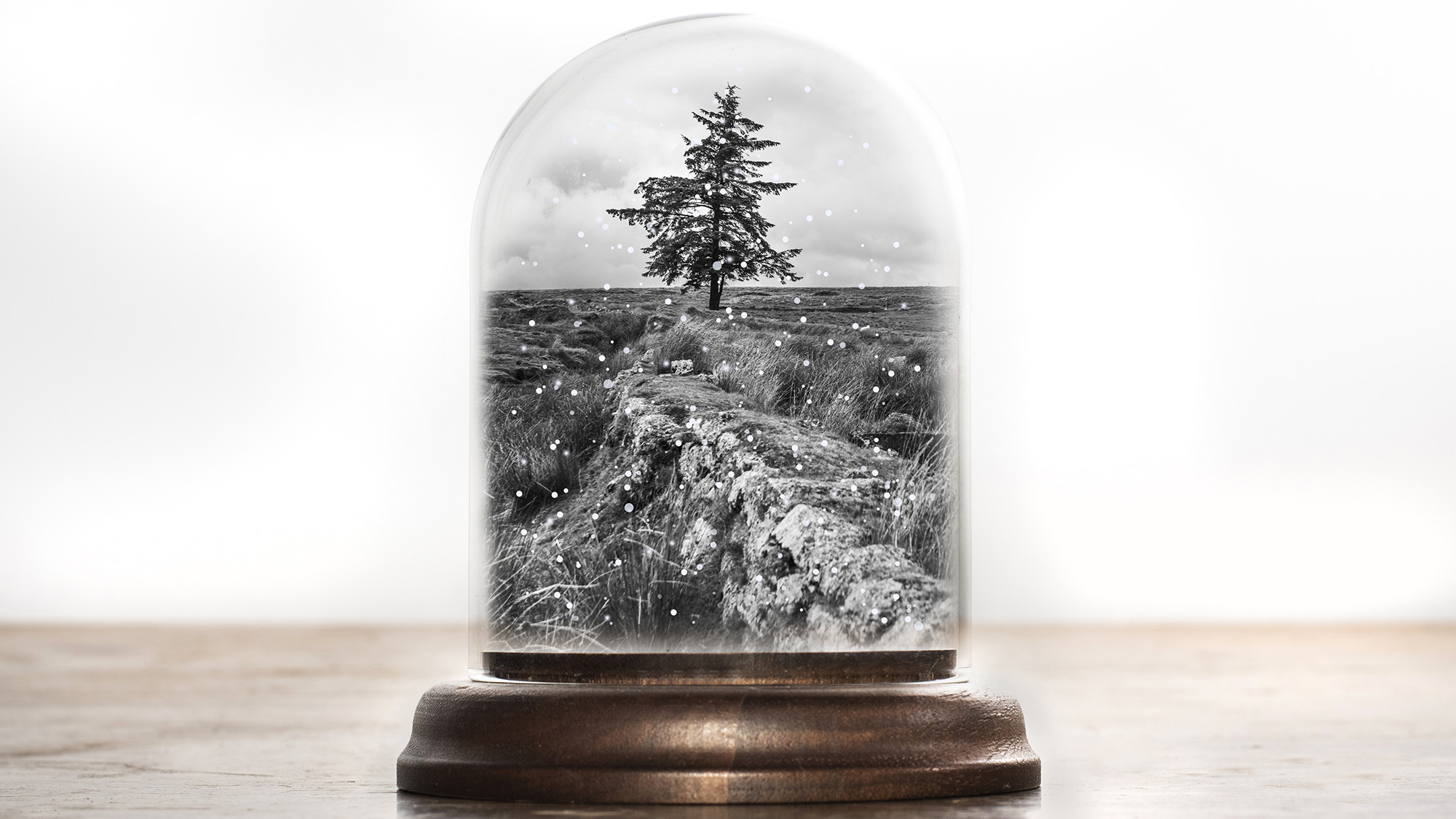 Use one of your own photos to make a seasonal snow globe