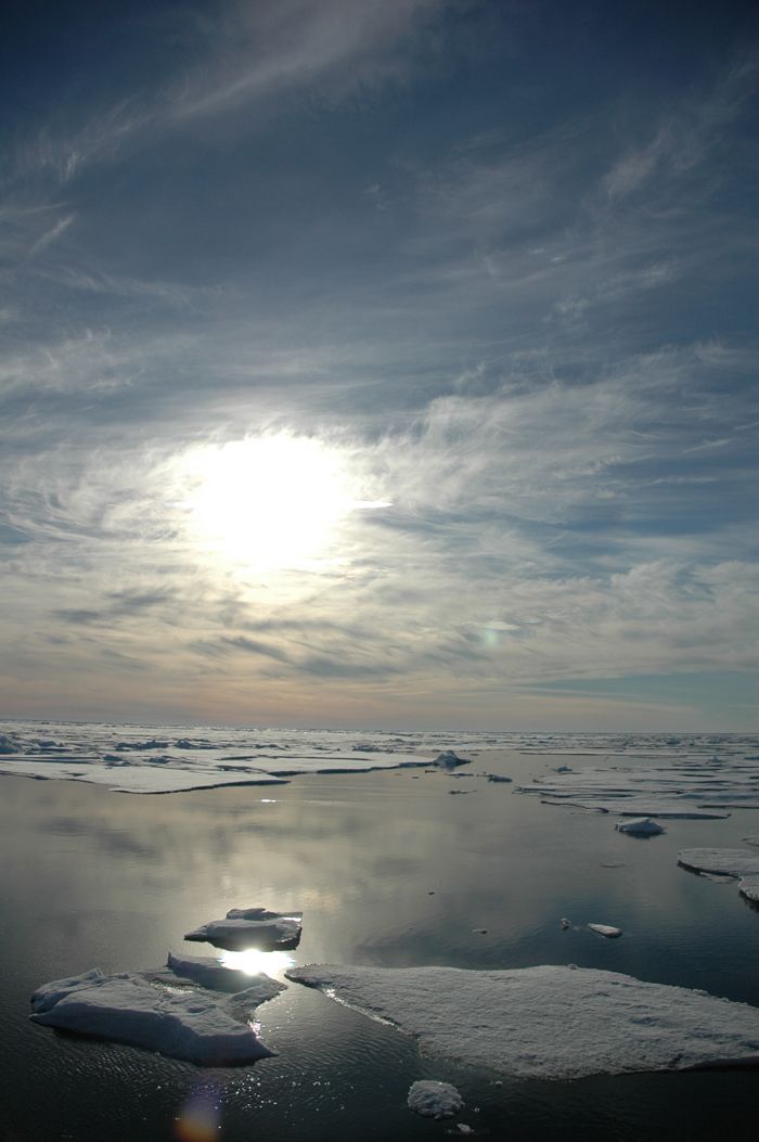 Arctic ice photographed in 2005.