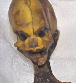 alien-looking skeleton from Atacama desert.