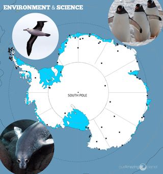 Antarctica Environment & Science
