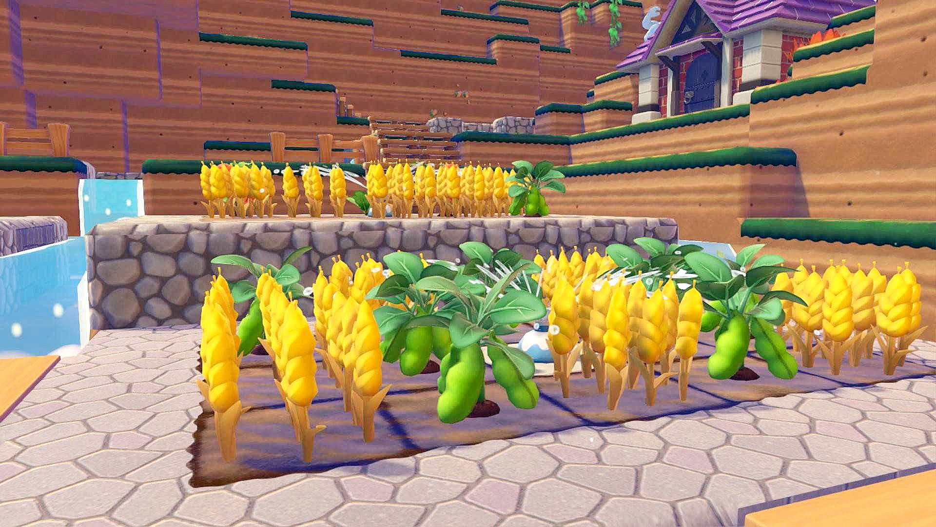 A field of wheat and beans grows in Pokopia, offering a variety of flavors.