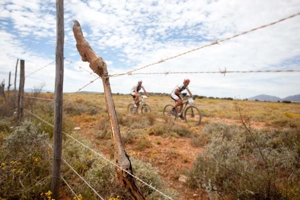 Riders pass by an ostrich that was caught in a fence during stage 6