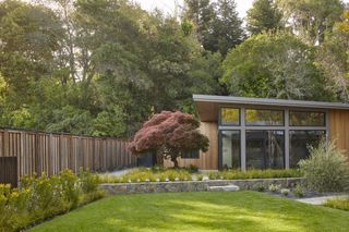 A lush yet minimalist backyard