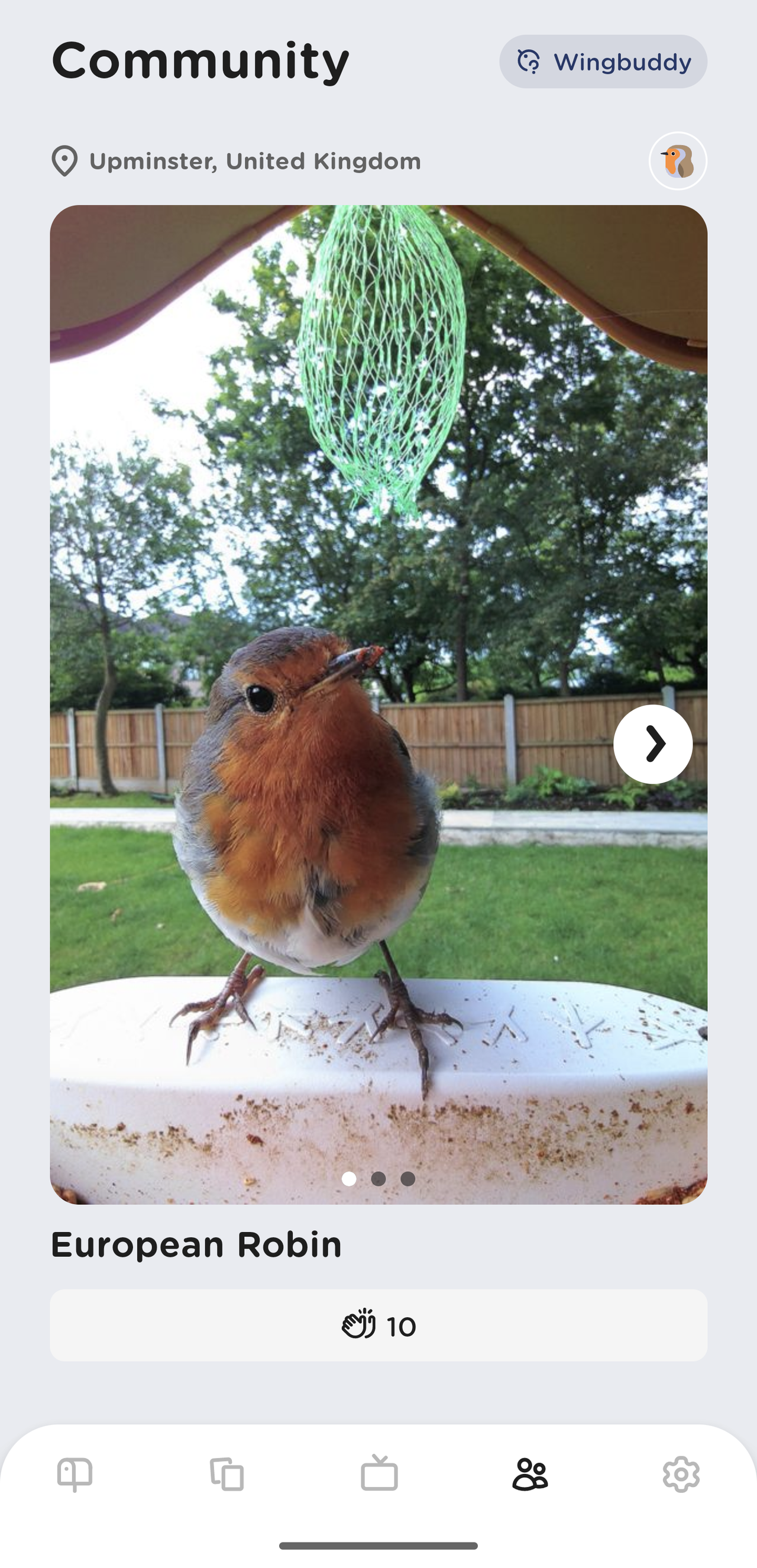 Birdbuddy smart feeder pictures of birds