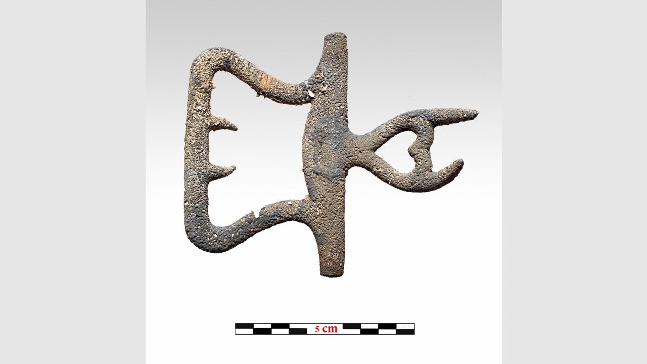 The latest excavations also recovered the metal part of a buckle; the leather strip that it once fastened has now rotted away.