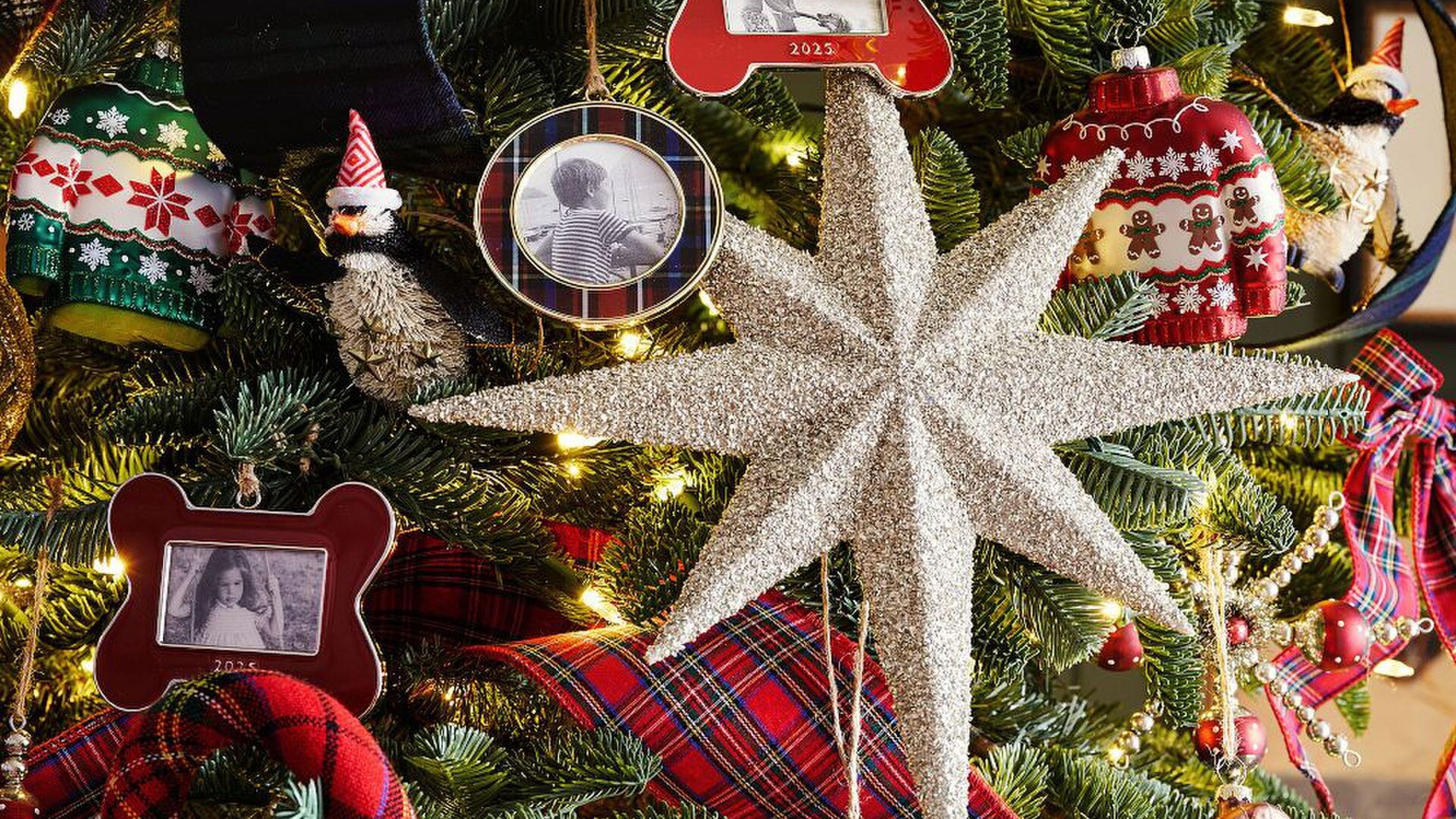 Pottery Barn Photo Frame Christmas Ornament