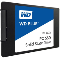 WD Blue 1TB WDS100