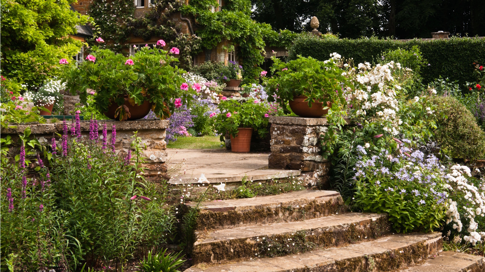 Garden steps