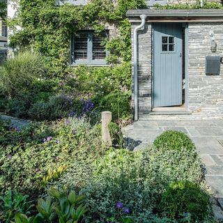 Front garden with lush, green planting