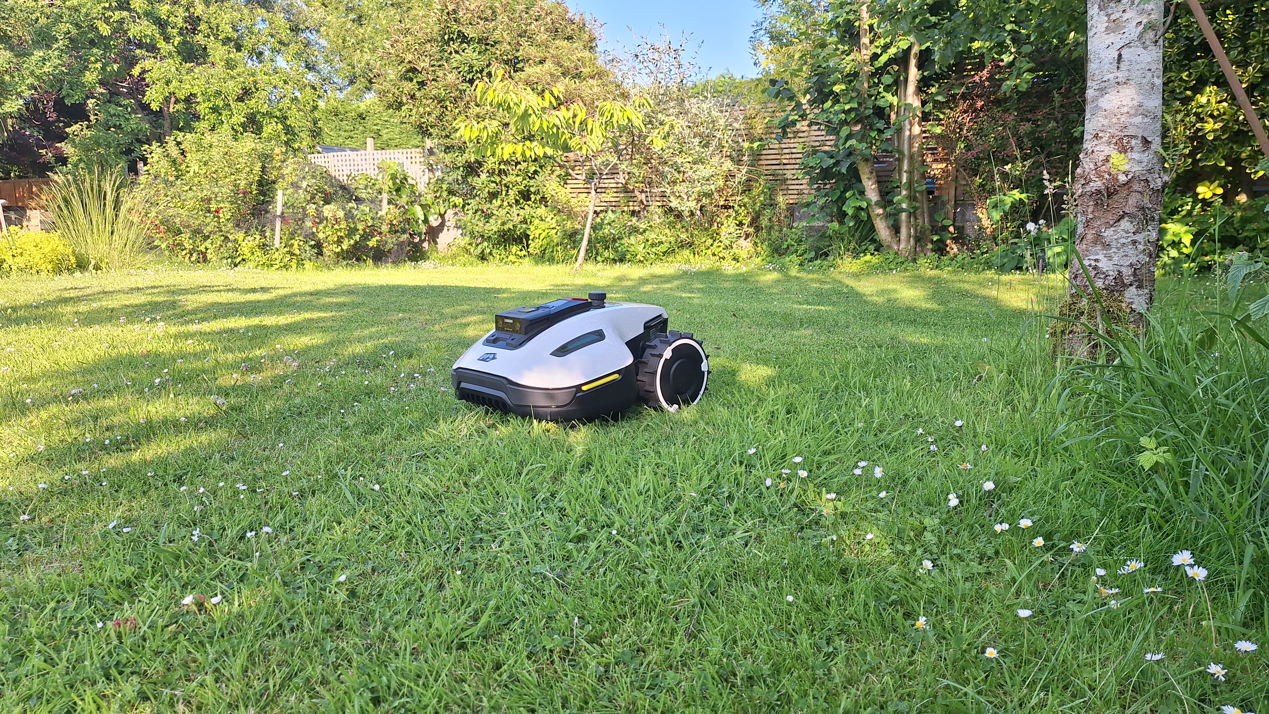 Mammotion Yuka Mini 600 in reviewer's yard