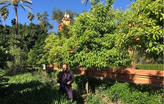 Monty Don in a Spanish orange grove in Monty Don's Paradise Gardens