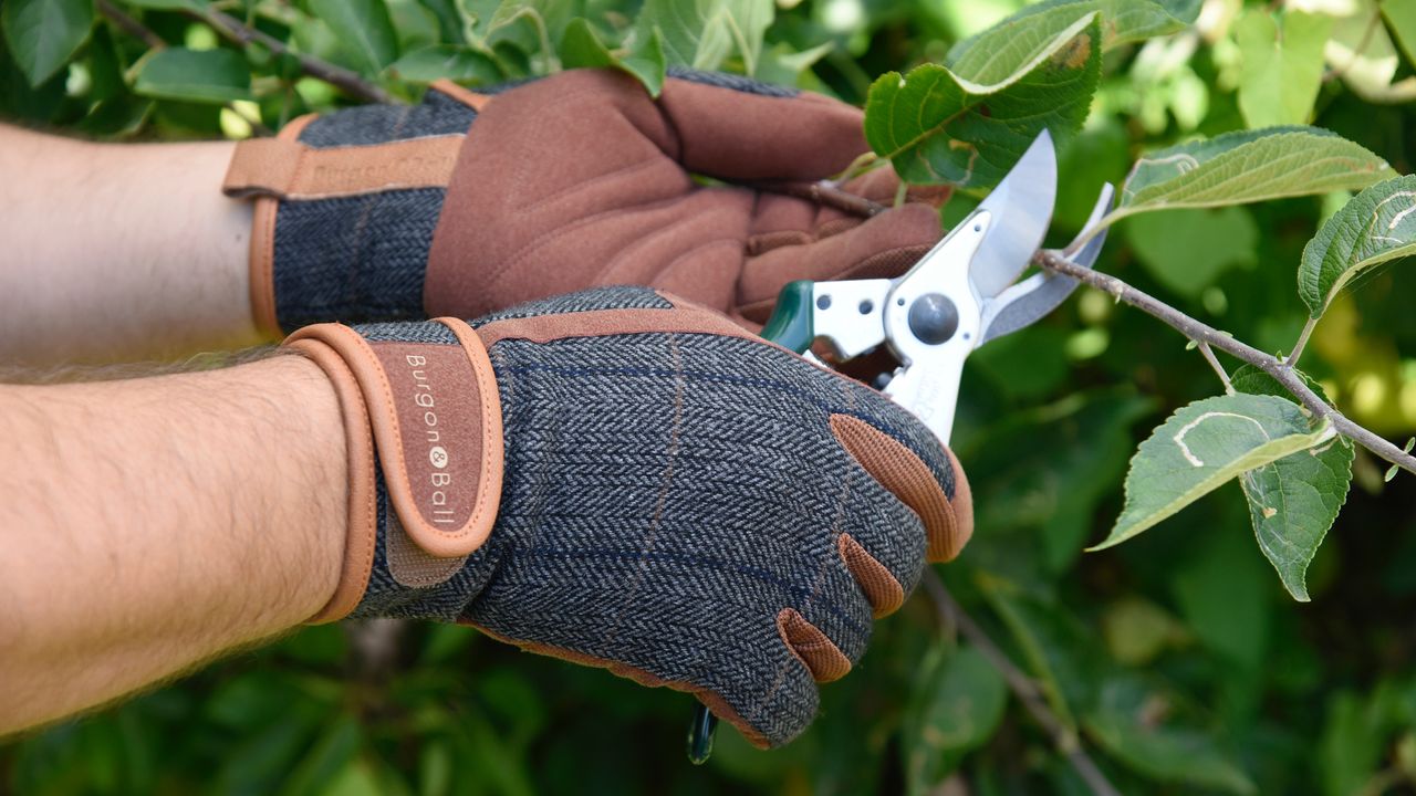 BURGON &amp; BALL DIG THE GLOVE being worn in the garden