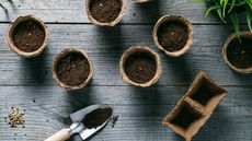 Sowing seeds indoors into pots of compost