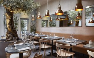 Bandol restaurant with large olive tree under skylight, copper tables, copper pendant lamps and mirrors on wall