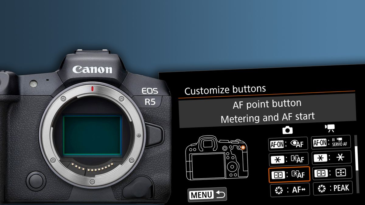 Get extra from customized autofocus on the Canon EOS R5 and R6