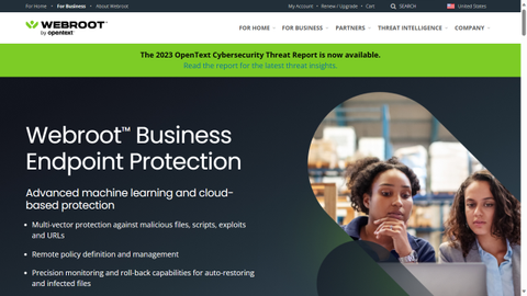 Webroot Business Endpoint Protection website screenshot 