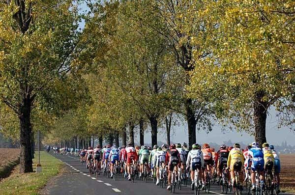 It's clearly fall when the leaves are changing colour and the riders race down to Tours.