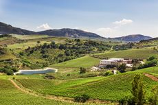 Tenuta-pianetto_web.jpg