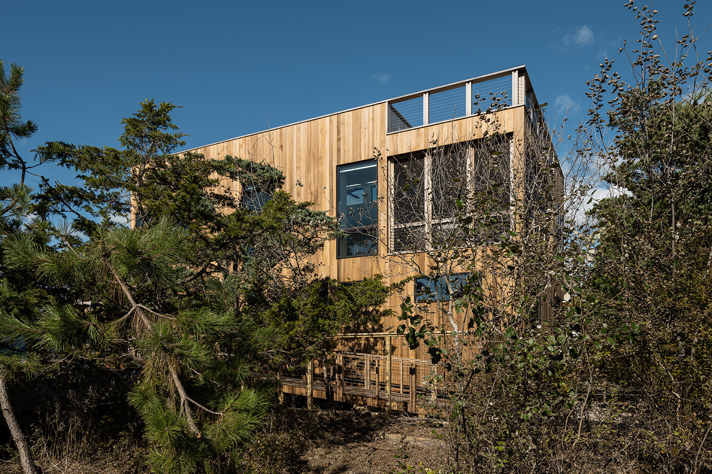 Coughlin Scheel - Fire Island Champlain House