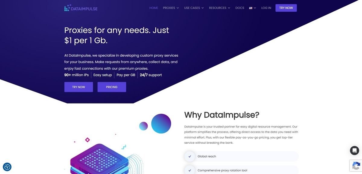 DataImpulse Proxy Service Review